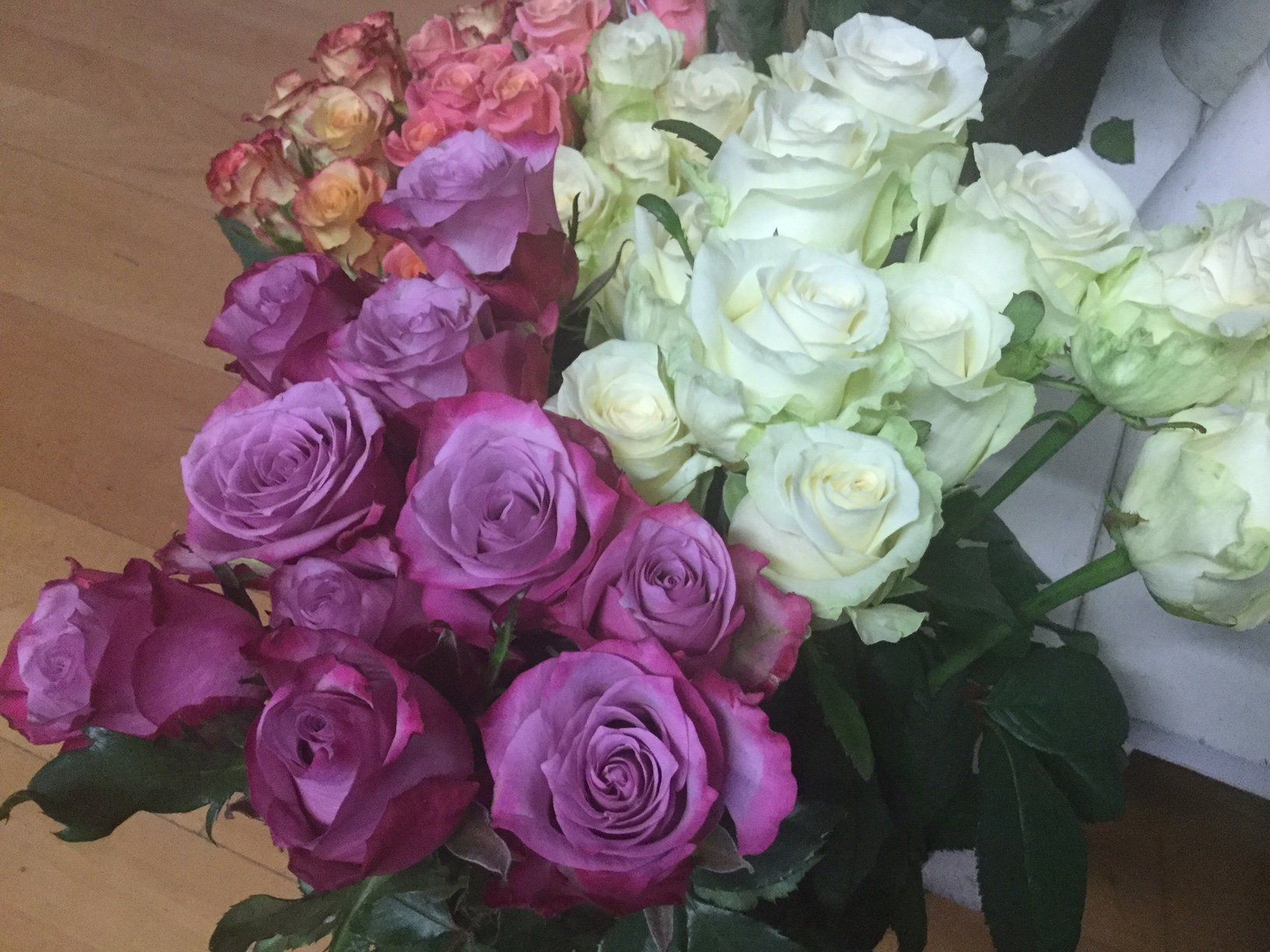 rose viola e bianche