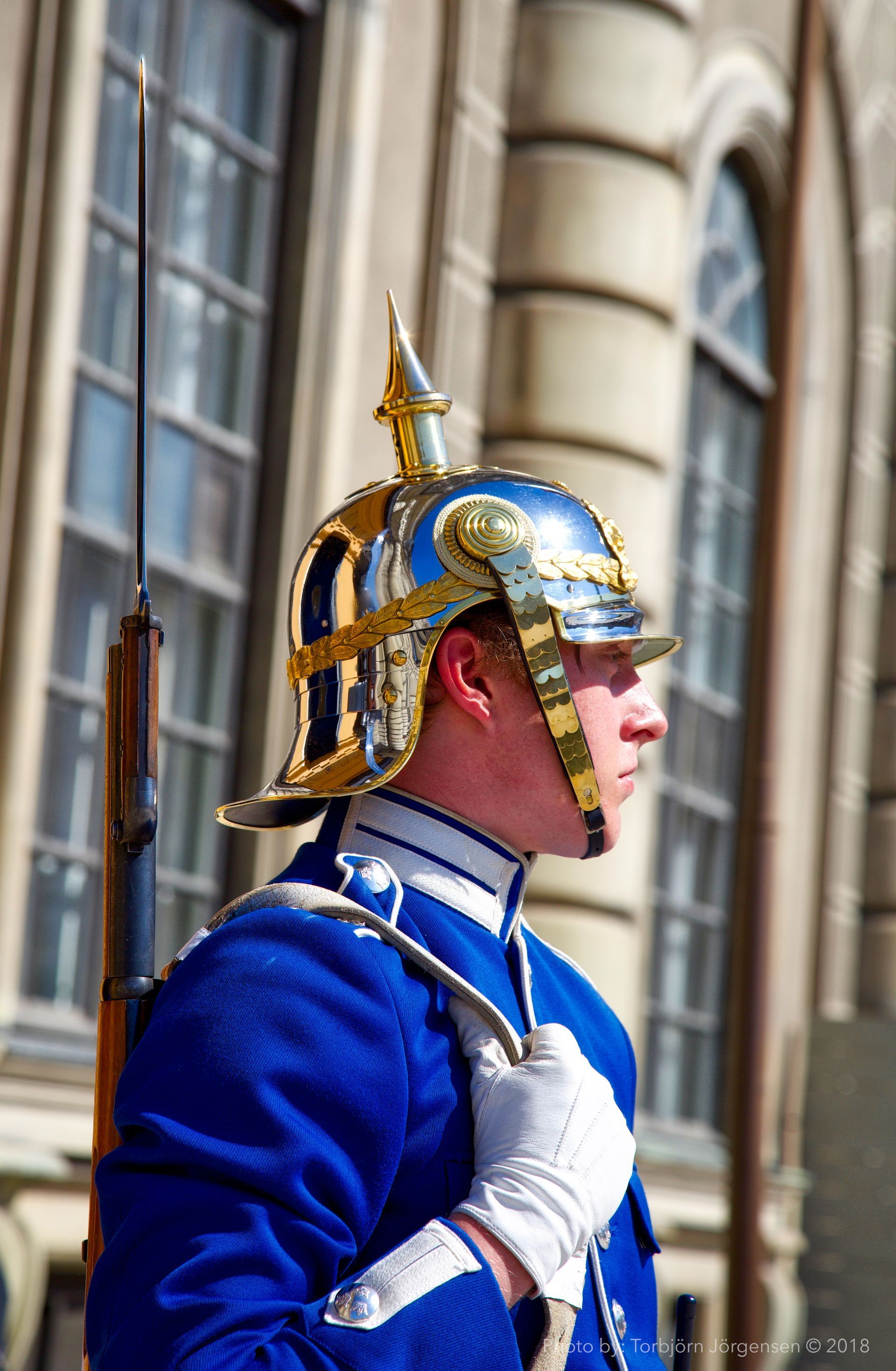 Stockholm Castle Guard