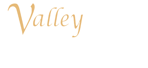 Valley Limo & Coach logo