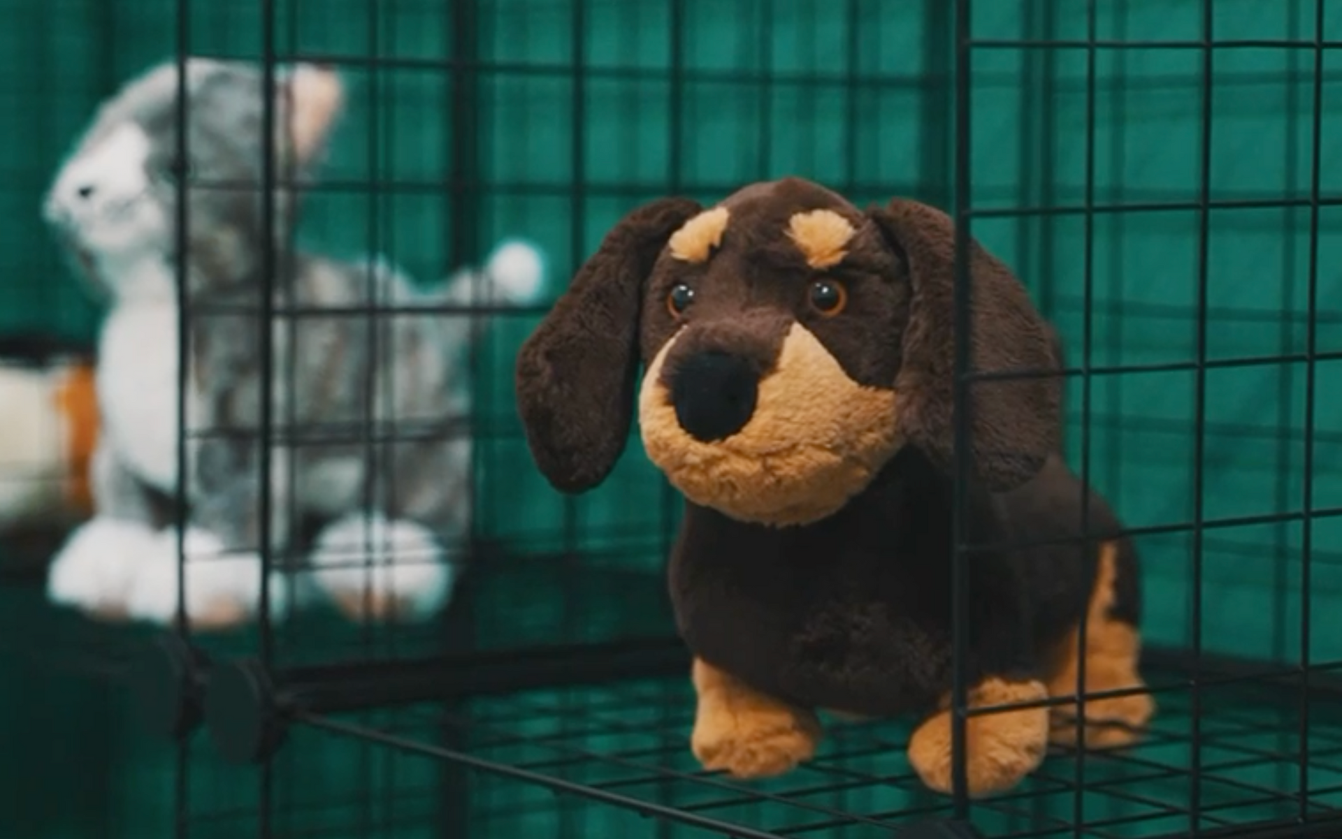 A stuffed dog is sitting in a cage next to a stuffed cat.