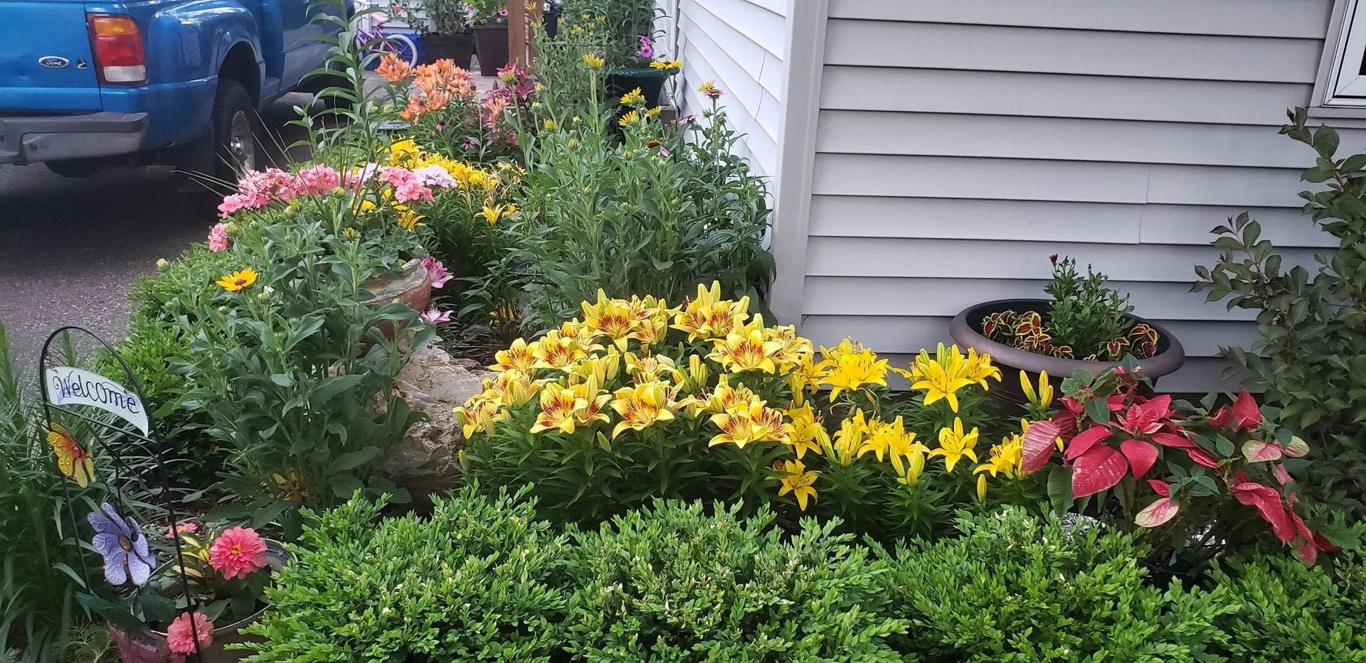 Colorful flower bed with yellow, pink, and red blooms beside a house and blue truck