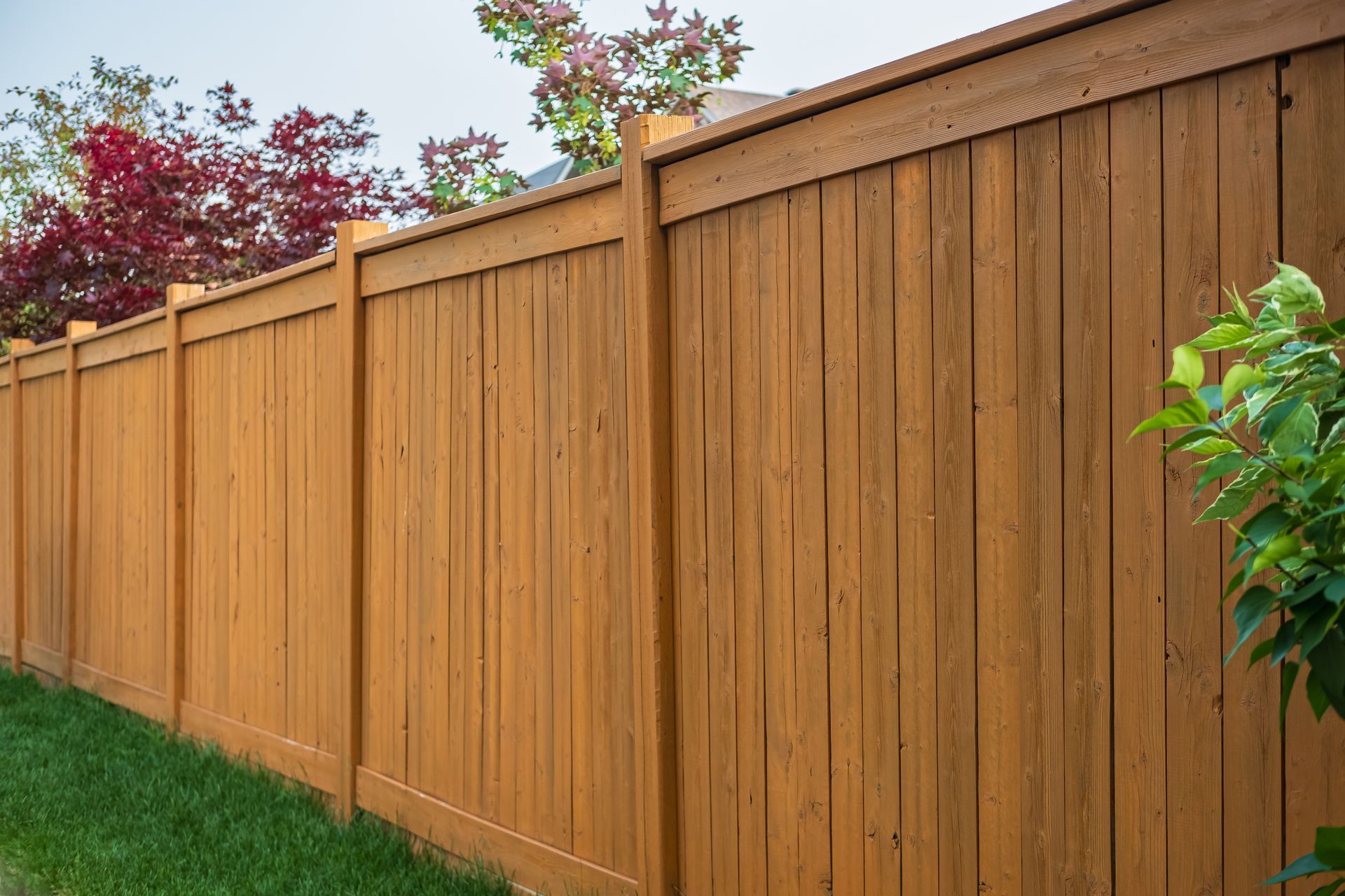 Wooden privacy fence along a grassy yard with trees behind it
