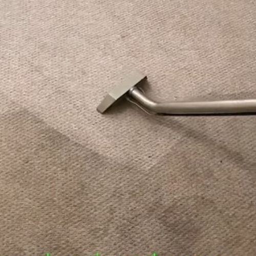 carpet cleaning corona
