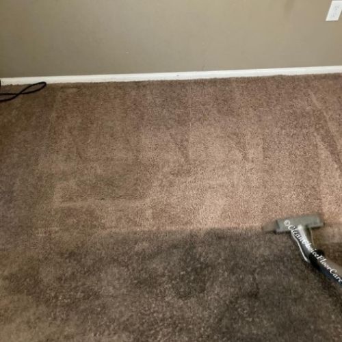 carpet cleaning murrieta