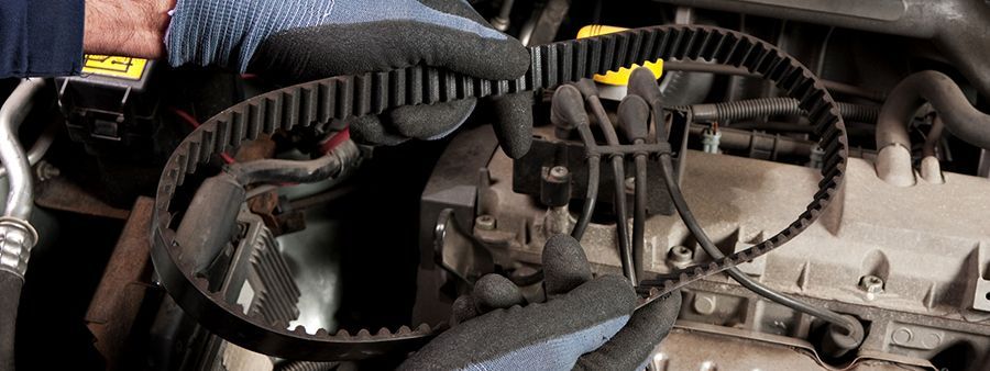 Hands wearing gloves hold a worn timing belt in an engine bay. Black belt with teeth is being inspected for damage.