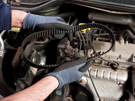 Hands in blue gloves holding a black timing belt, likely for a car engine, within an engine bay.