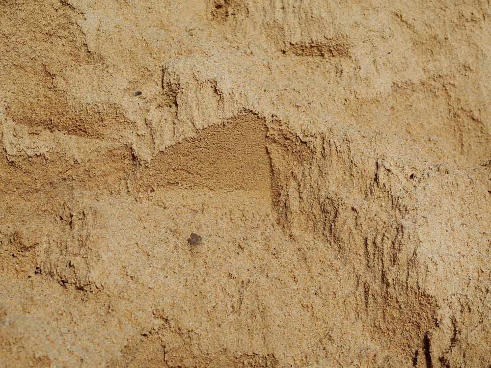 A Close Up Of A Pile Of Sand — Zappala Raw Materials Pty Ltd In Northern Beaches, QLD