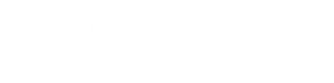 Sam Johnson Coaching Logo with leaping lion