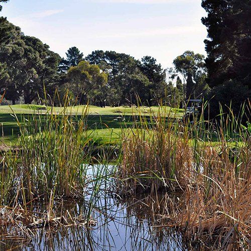 Golf Course in Midlands Golf Club, Ballarat