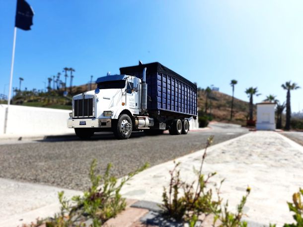Camión semirremolque blanco con contenedor azul en una carretera, día soleado.