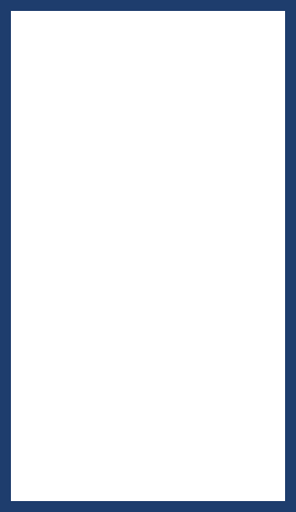 Blue-bordered white rectangle.