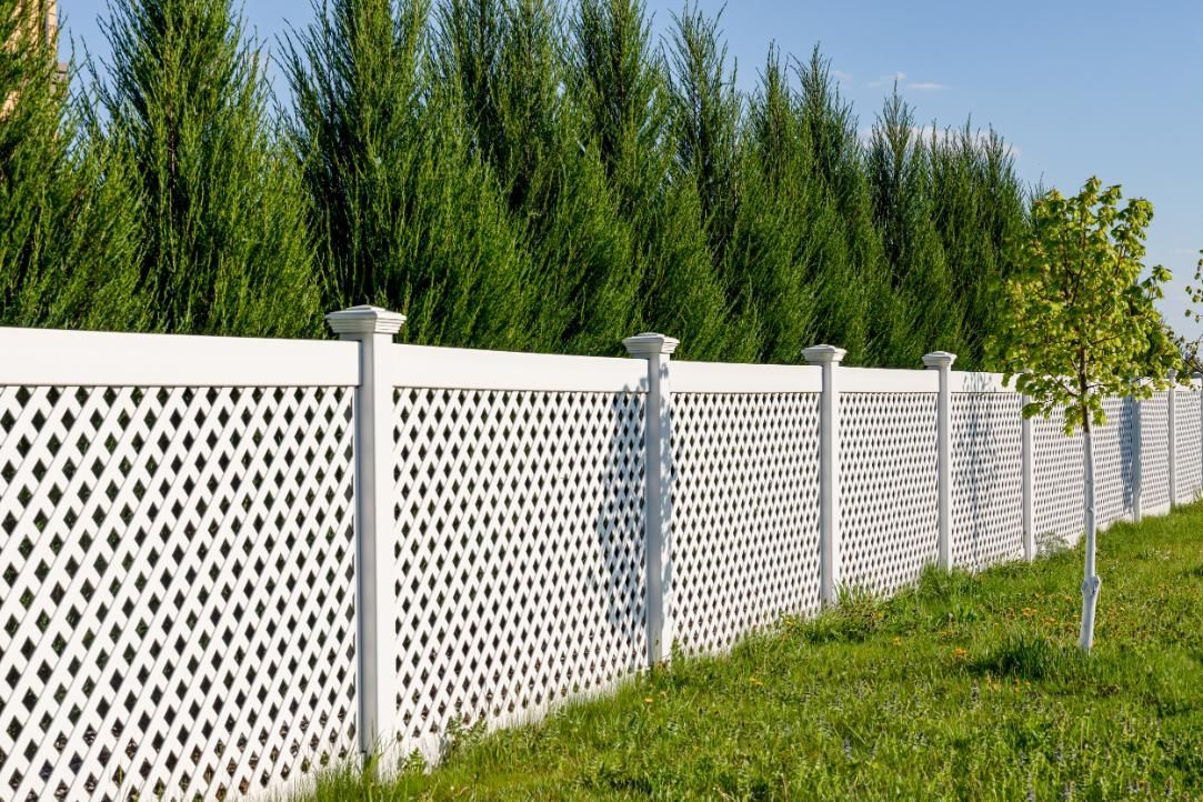 White lattice fence in front of green grass and trees.