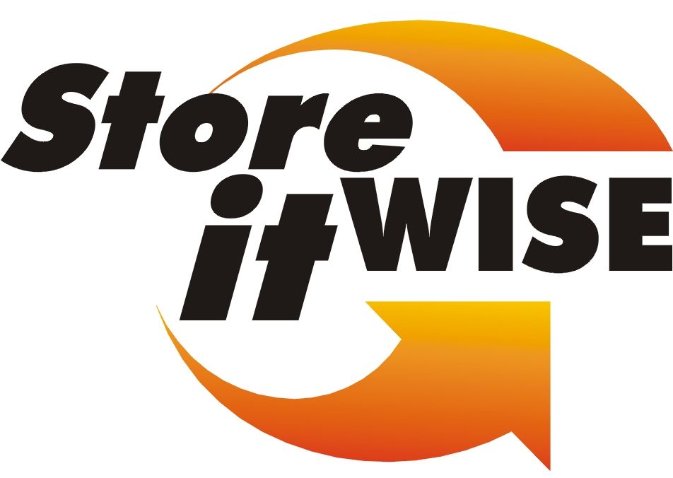 Store it Wise Logo