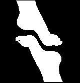 Human knee joint illustration, white on a black background.