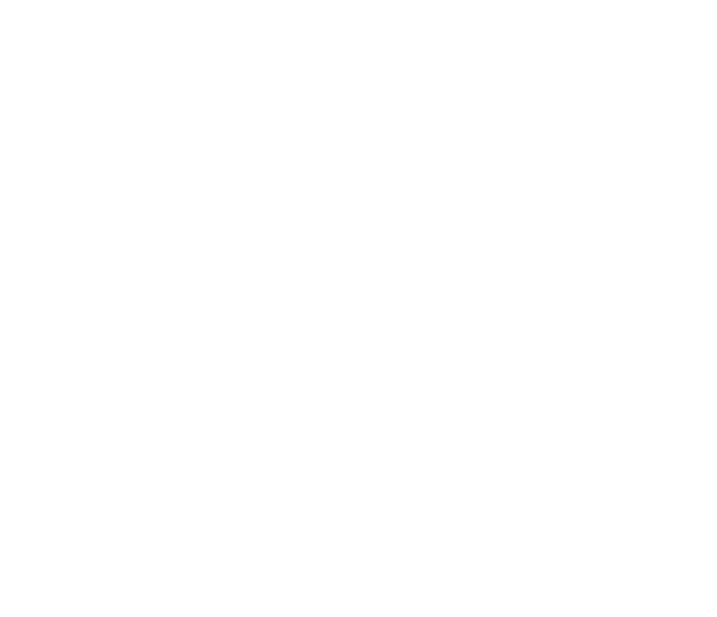 Cannon Chiropractic logo