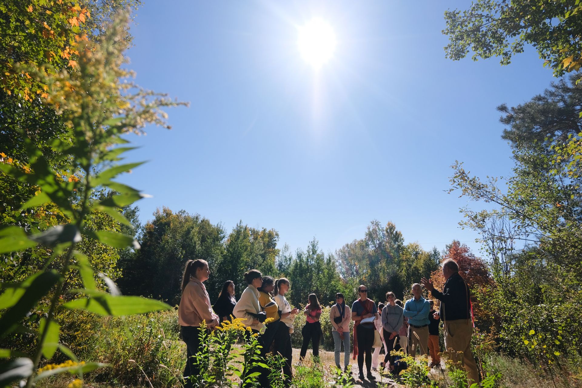 A group of people stands in a sunny outdoor setting, learning. Blue sky with bright sun overhead.