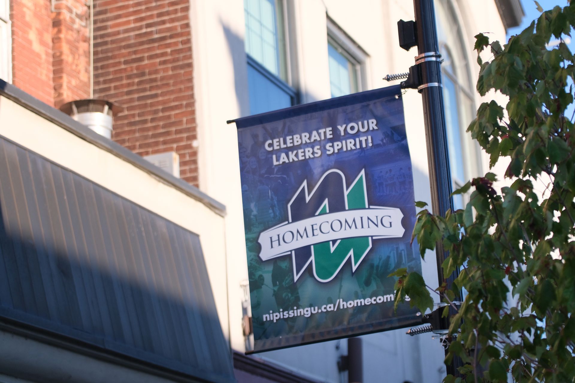 Homecoming flag