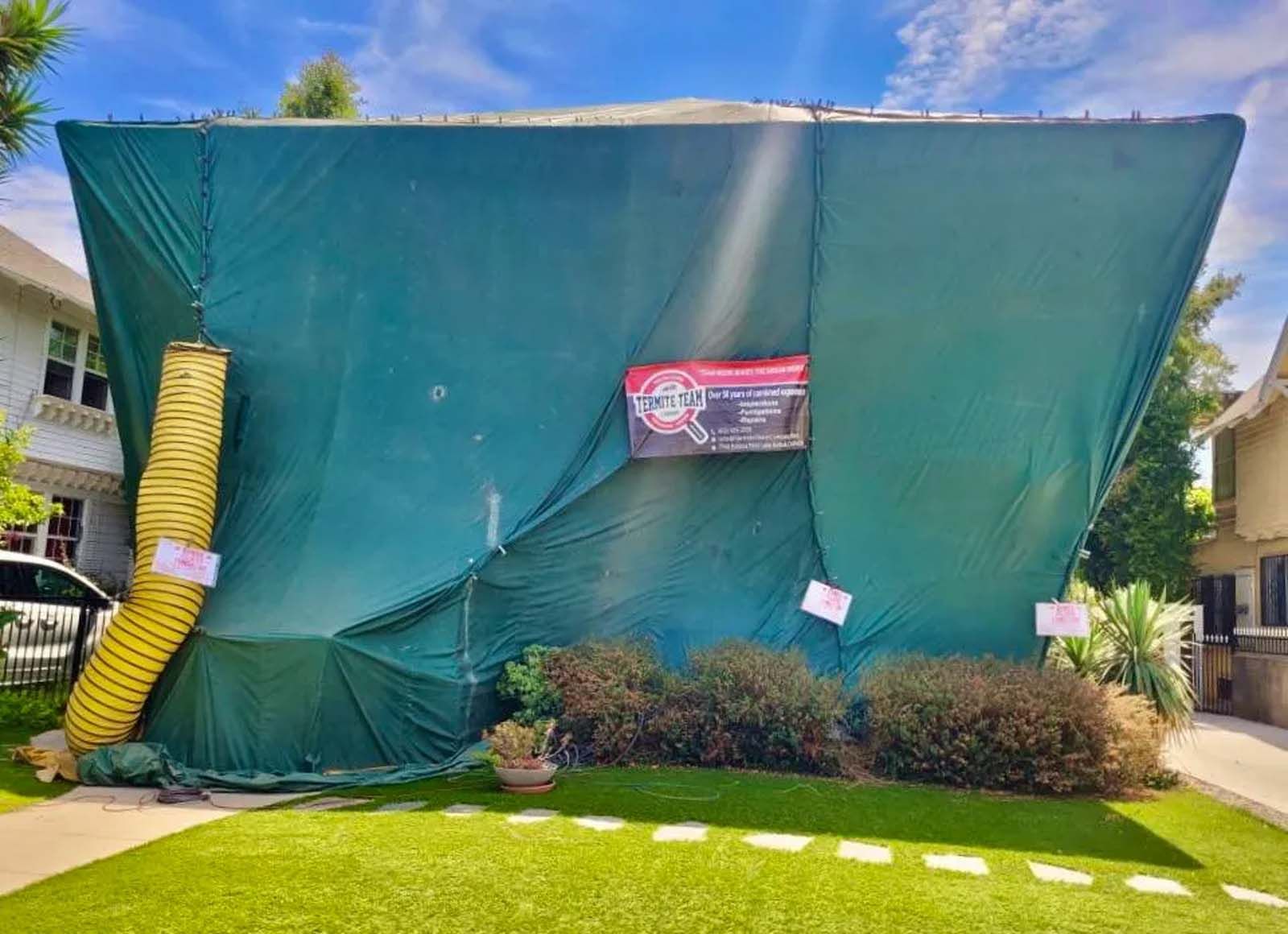 A house is covered in a green tarp.