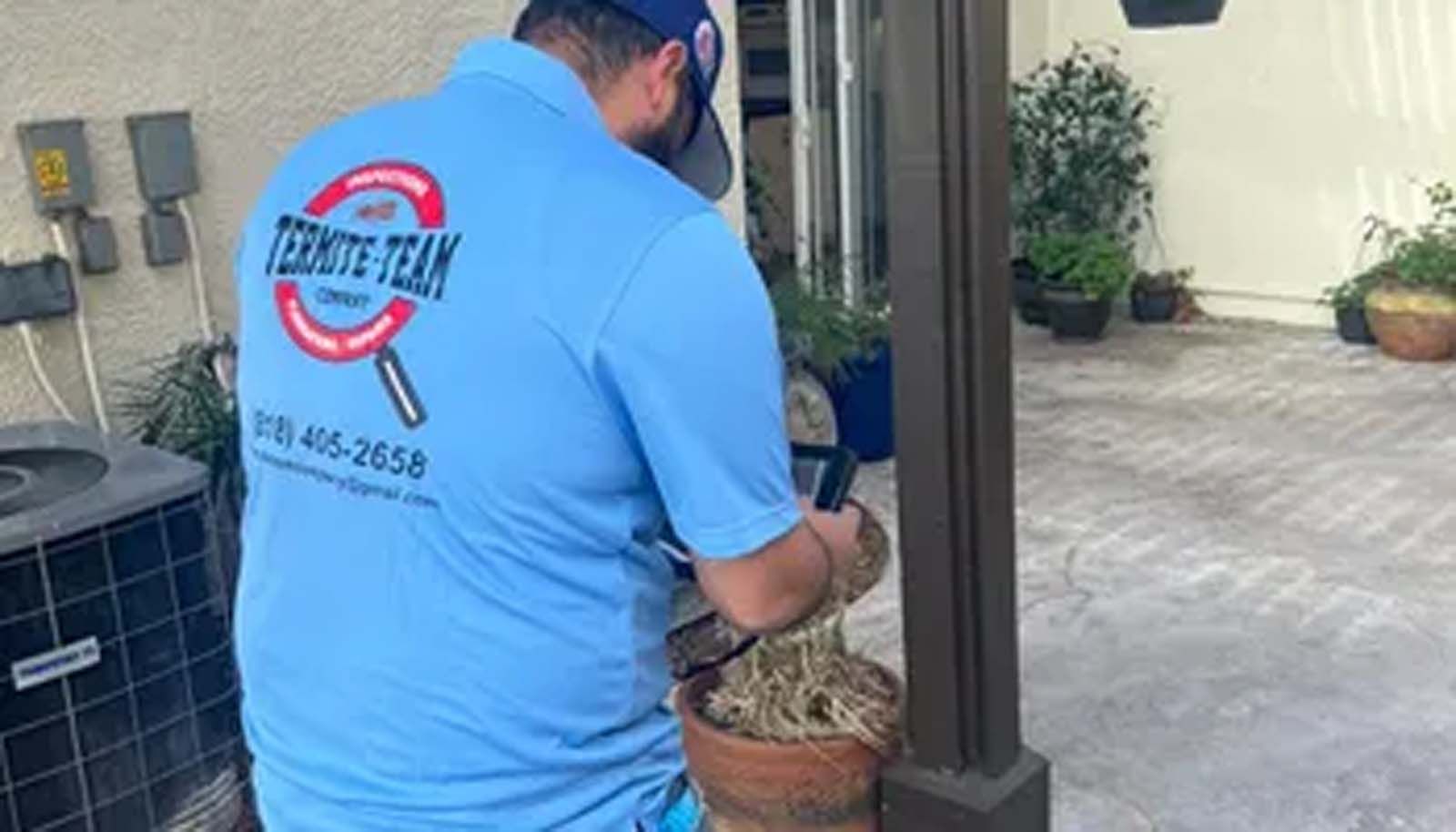 A man in a blue shirt is standing next to a potted plant.