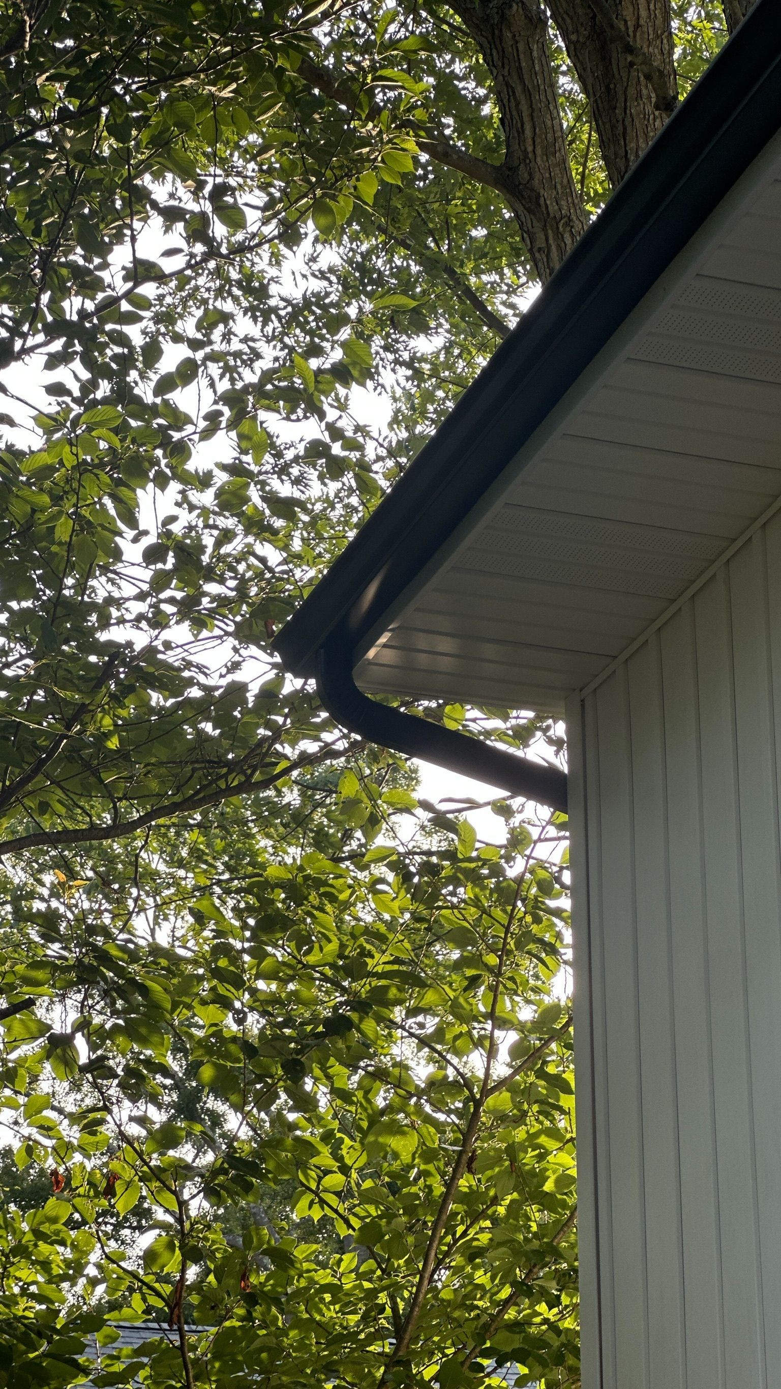 A gutter on the side of a house with trees in the background.
