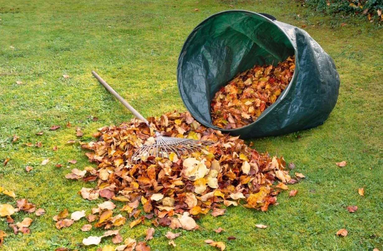 A Green Barrel Filled With Leaves And A Rake On The Grass — Mackay Bags in East Mackay, QLD