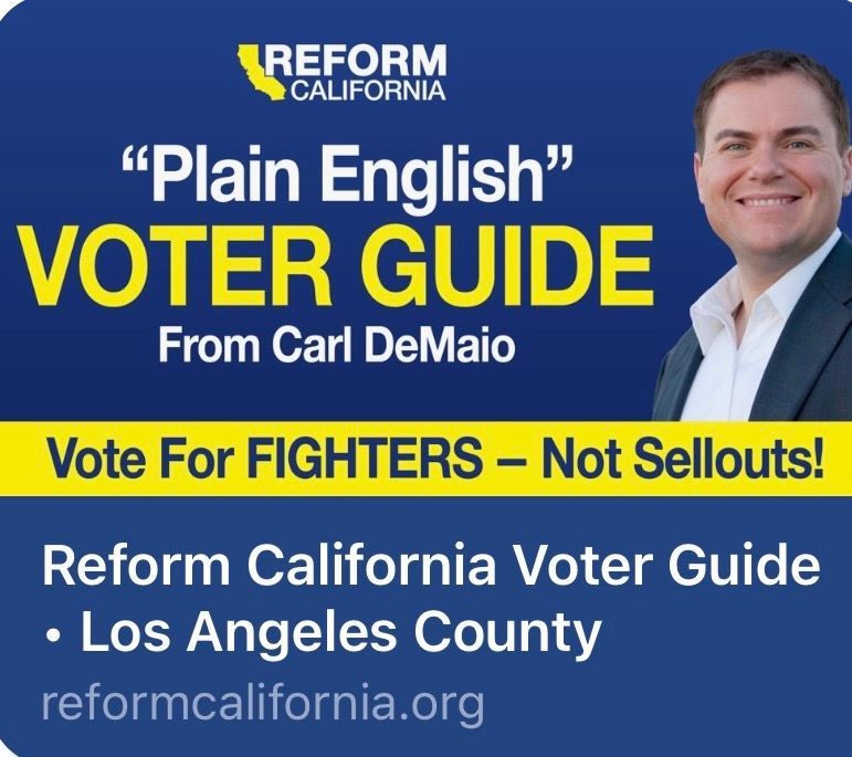 Reform California “Plain English” voter guide ad for Los Angeles County with Carl DeMaio portrait