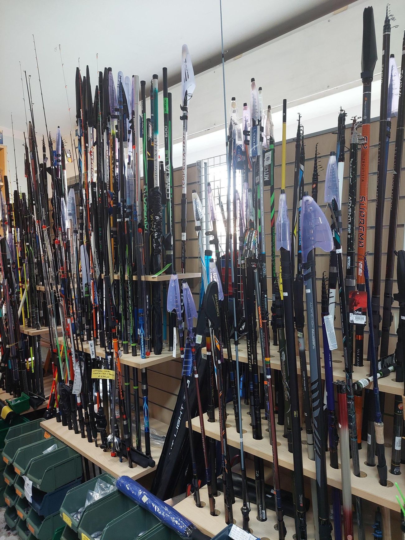 Canne da pesca esposte in un negozio.