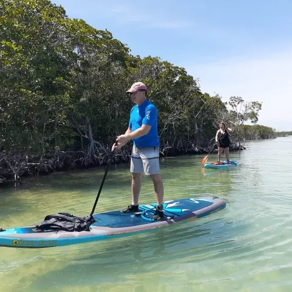 Two people paddleboard in clear water near mangroves. The sky is blue.