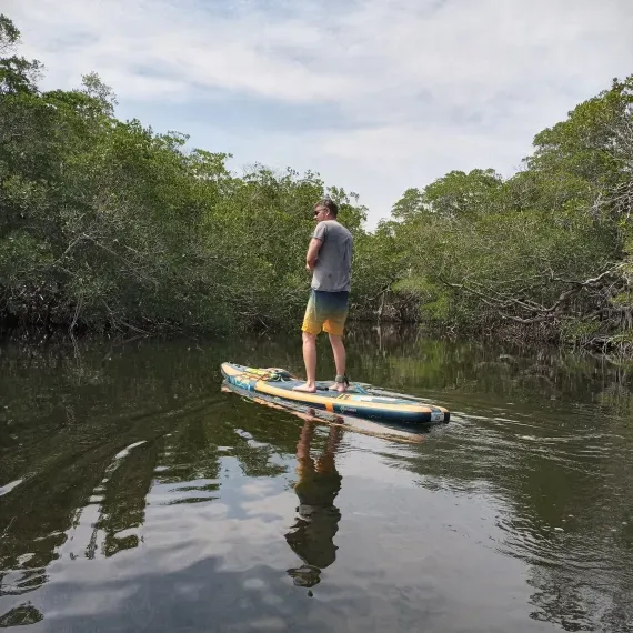 Person paddleboards on a calm, dark waterway surrounded by lush green mangroves under a cloudy sky.