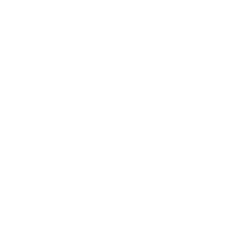 African Foundation for Economic logo