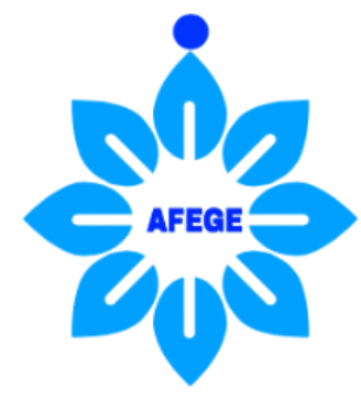 African Foundation for Economic logo