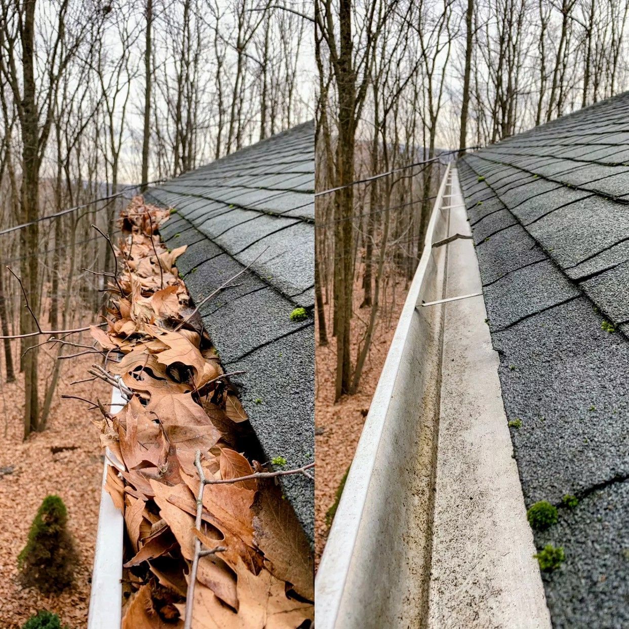 Person in orange glove cleaning a gutter filled with leaves and debris from a roof.