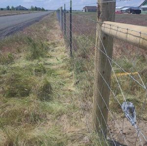 A barbed wire fence surrounds a grassy field next to a road.