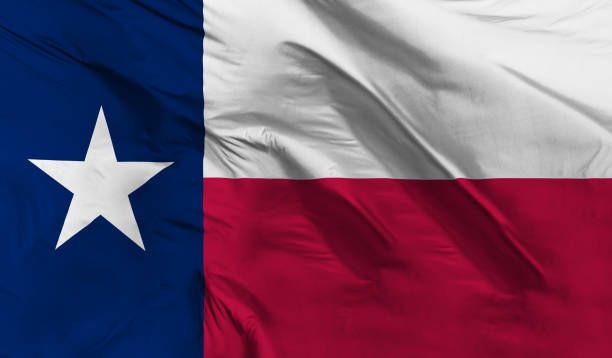 A close up of a texas flag with a white star