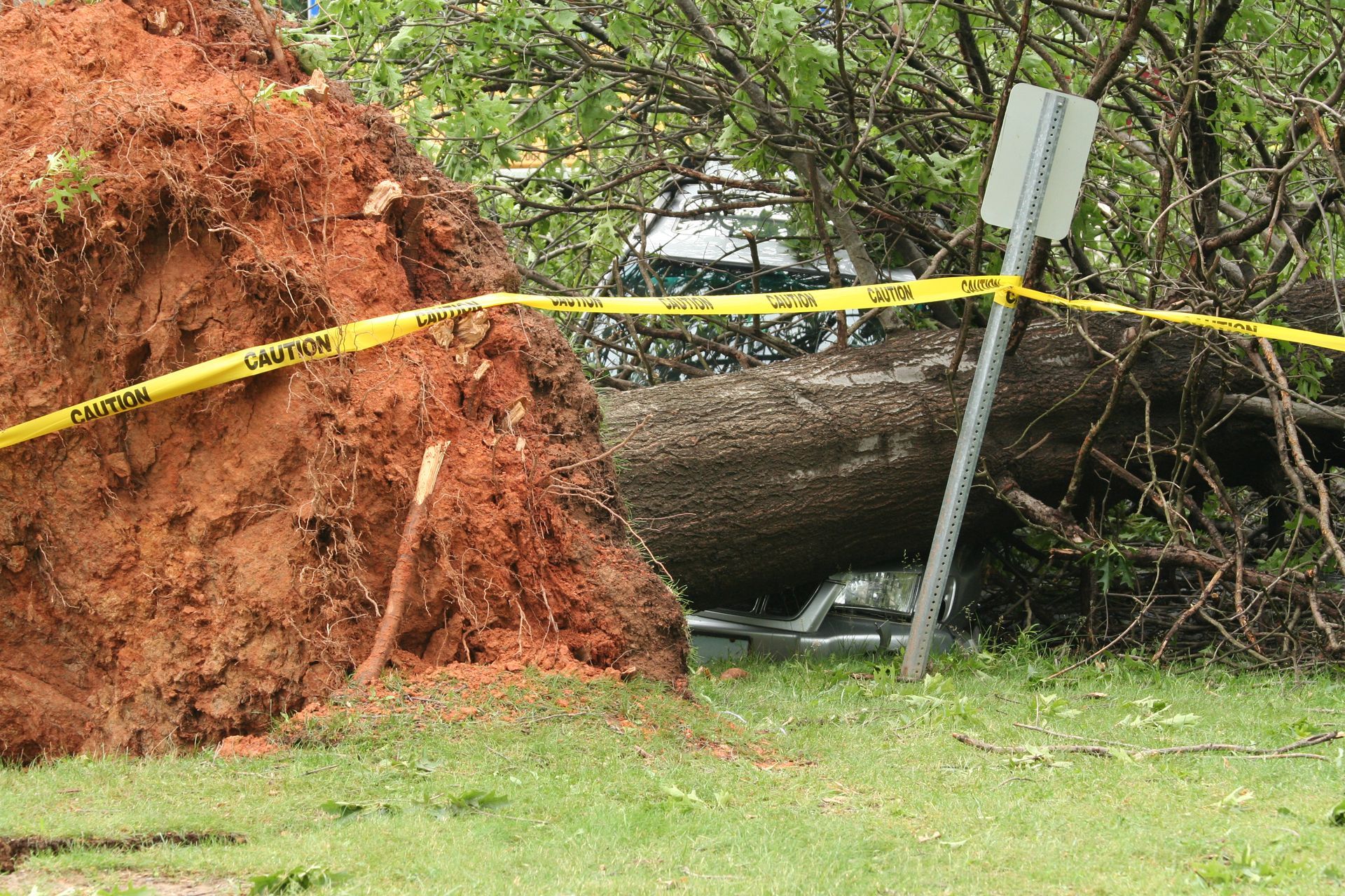 Fallen tree on a vehicle, behind caution tape. Large dirt root ball in foreground, grassy area.