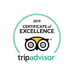 The logo for tripadvisor is a certificate of excellence.