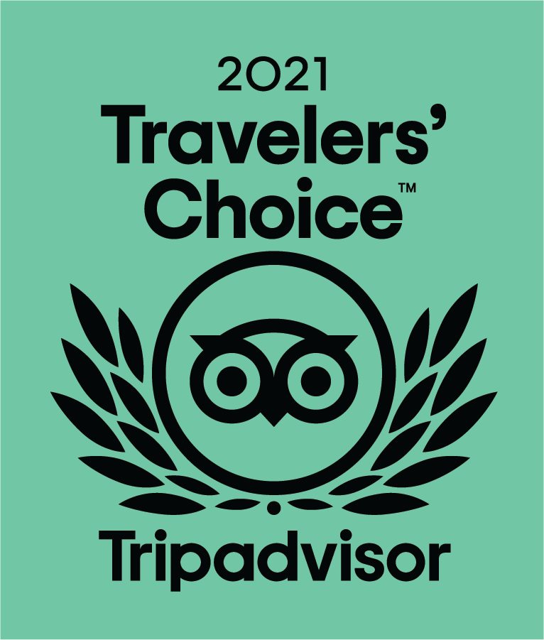 A logo for travelers choice tripadvisor with an owl and laurel wreath.