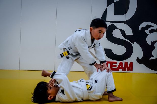 Mixed Jiu-Jitsu class in session
