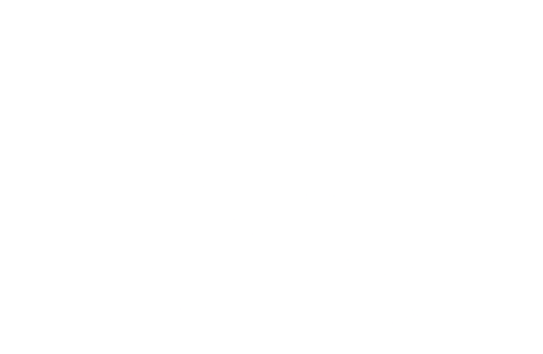 The Basketball Forecast Logo
