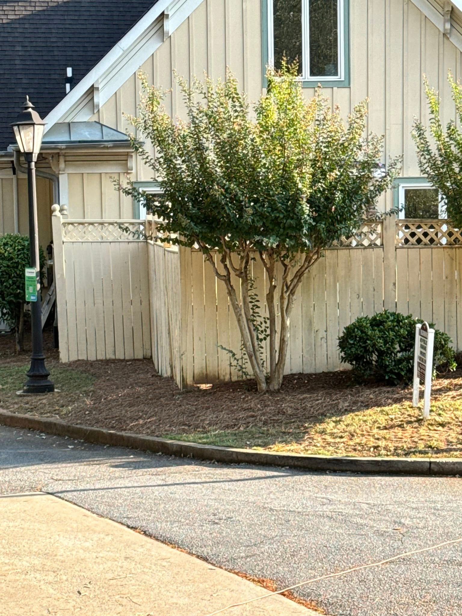 A cream-colored wooden fence with a lattice top sits in front of a house, partially obscured by a tree and shrubs.