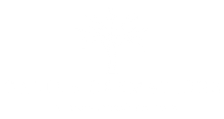 A white background with a few lines on it