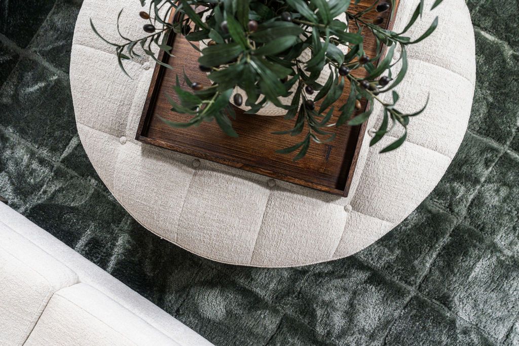 Potted plant on a round white rug over a dark green carpet next to a white sofa
