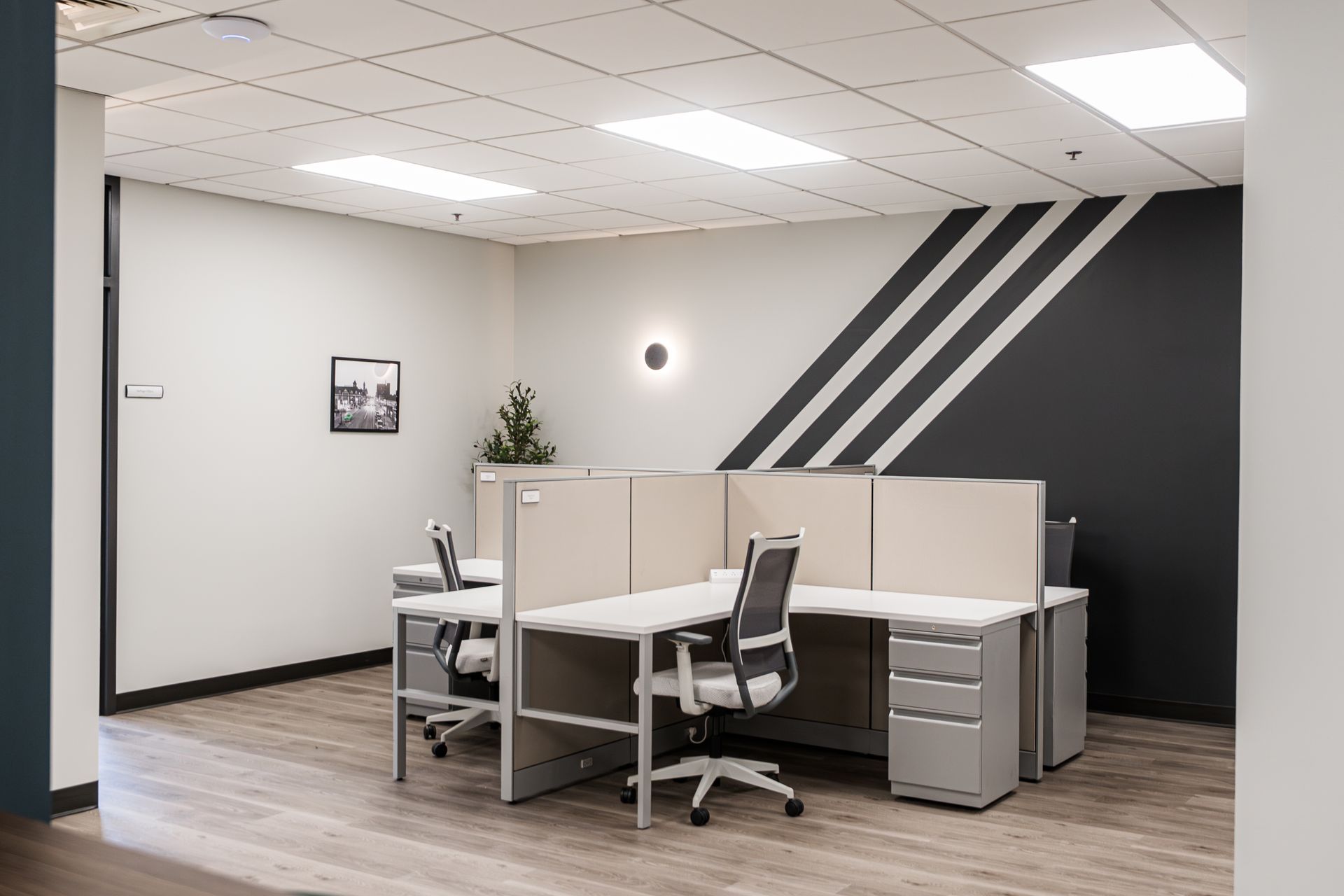 Empty office cubicle with white partitions, gray chairs, and a dark accent wall with diagonal stripes.