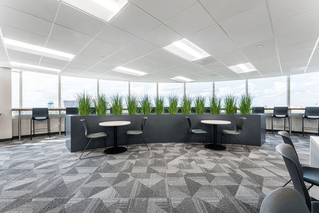 Office breakroom with tables, chairs, and potted plants in front of a window. Grey carpet and ceiling.