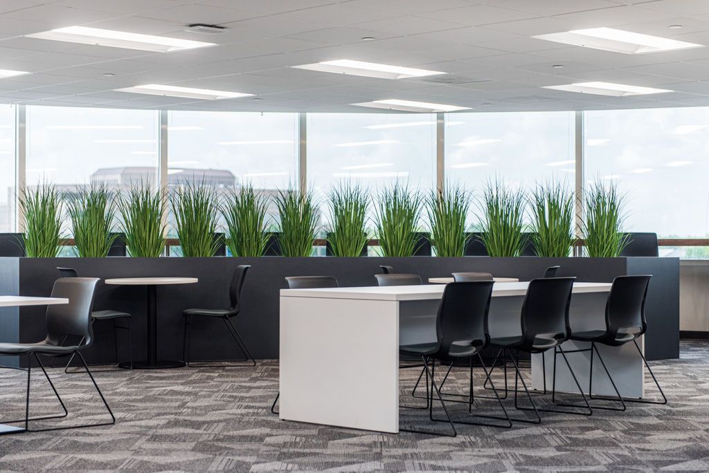 Modern office space with tables, black chairs, and tall plants along a window.