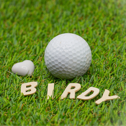 Credibility International does it again with Birdies for Charity program.