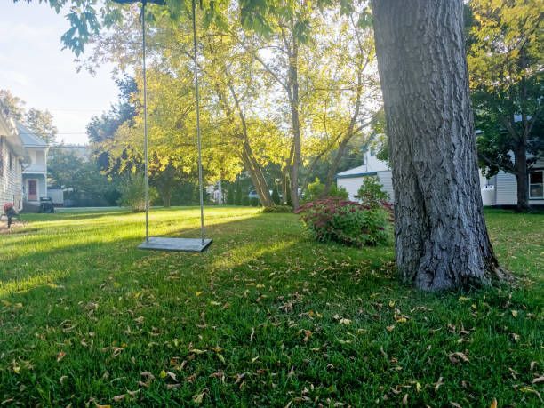 A large brick house is sitting on top of a lush green field surrounded by trees.