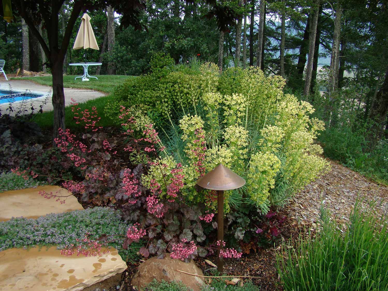 Person weeding a lawn with a long-handled tool near a sidewalk.