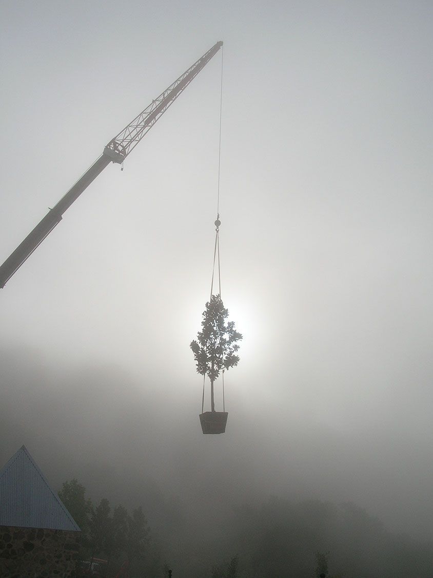 Hands holding a jar with coins and a growing plant. Blurred green background.