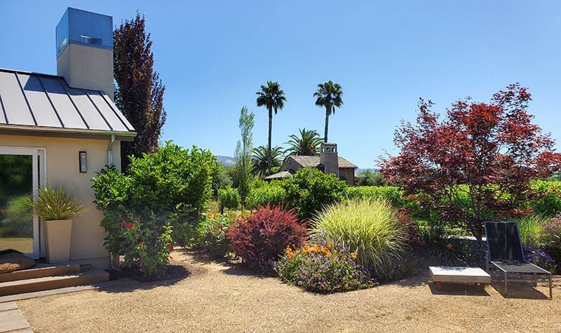 Sunny garden with diverse plants, house, and palm trees in the background.